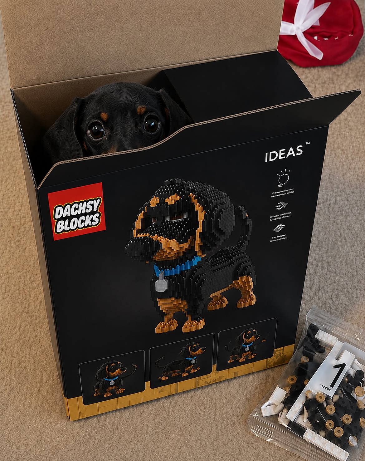 Doxie Blocks
